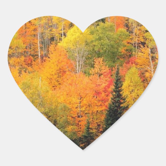 Wedding Hearts Fall Weddings Autumn Weddings Seals (Front)