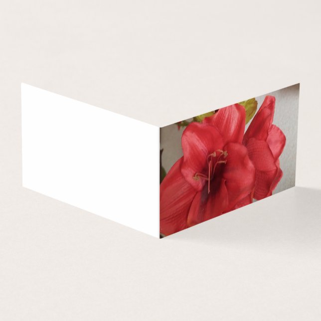 wedding invitation amaryllis red flat card (Outside)