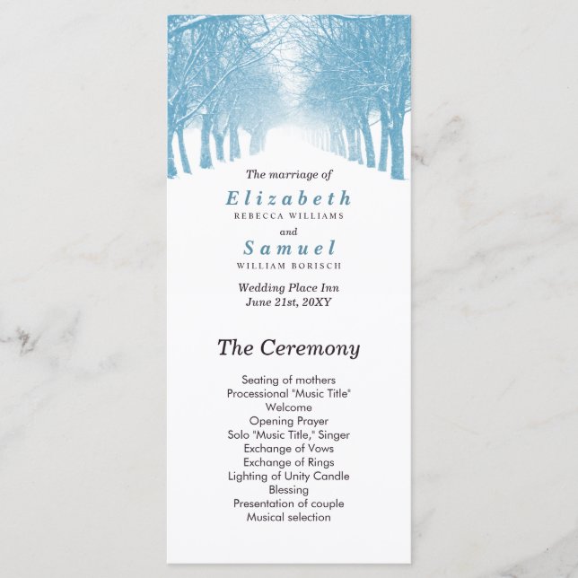 Wedding Program Winter Trees Avenue Path (Front)