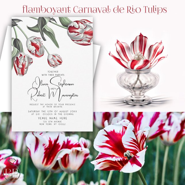 Wedding | Red and White Rembrandt Tulips Invitation (Stunning BOLD red and White  Rembrandt tulips - what a delight for your red and white wedding  theme)
