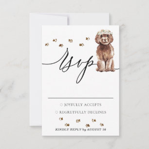 Wedding Response Brown Cavapoo Dog