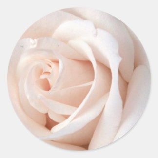 Wedding Rose Classic Round Sticker