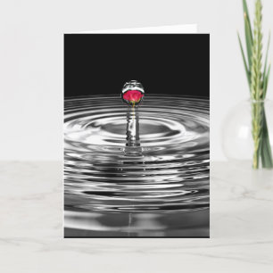 Wedding Rose In Droplet Congratulations Card