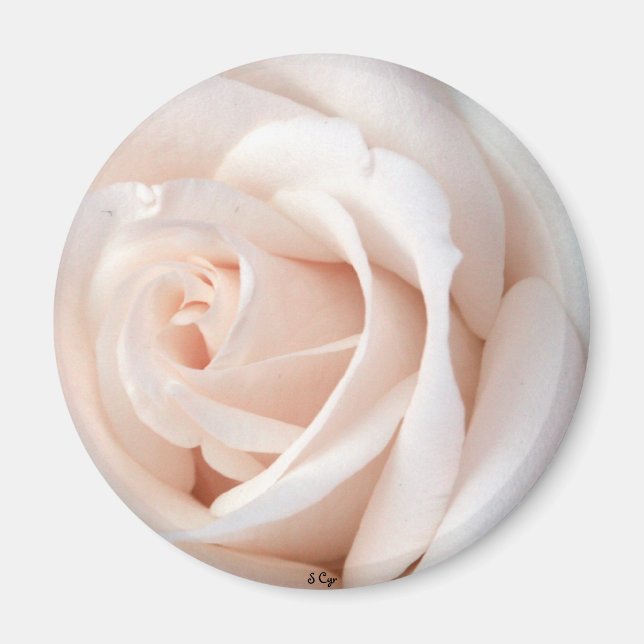 Wedding Rose Magnet (Front)