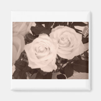 Wedding Roses Magnet