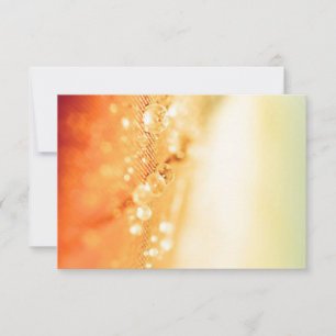 Wedding RSVP Cards