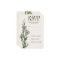 Wedding RSVP Cards | Floral Art Nouveau
