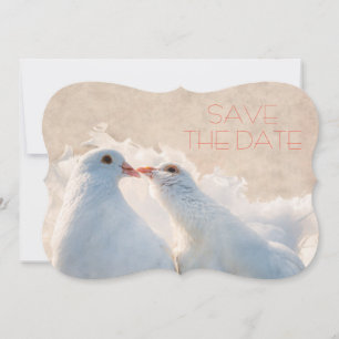 Wedding Save the Date Kissing Doves