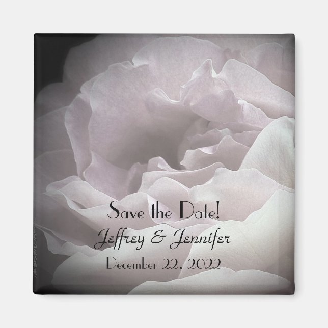 Wedding Save the Date Pale Pink Rose Floral Magnet (Front)