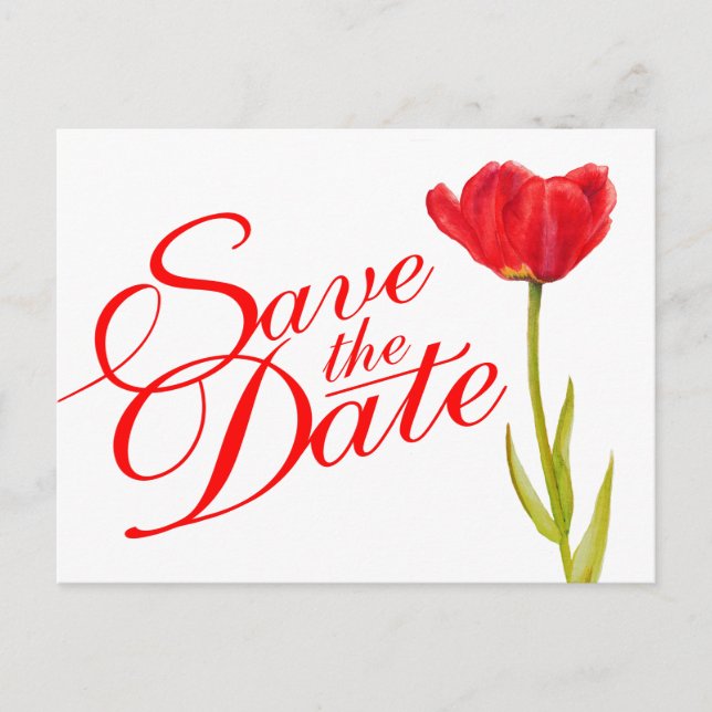 Wedding Save the Date Postcard red tulip art (Front)