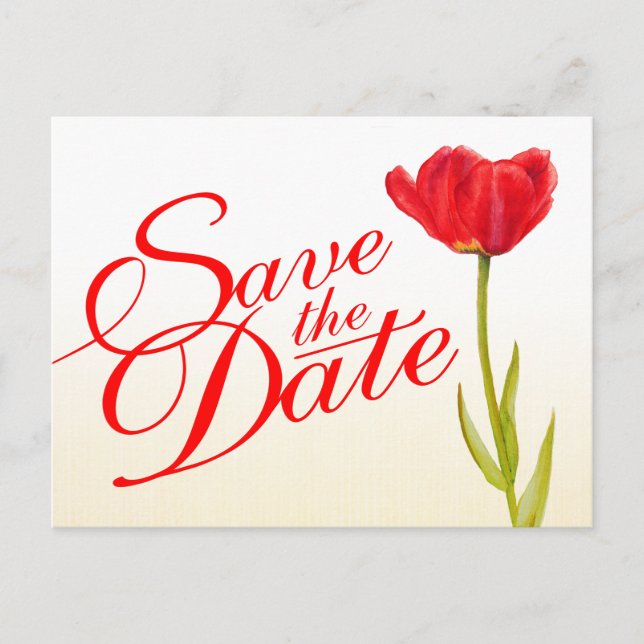 Wedding Save the Date Postcard red tulip art (Front)