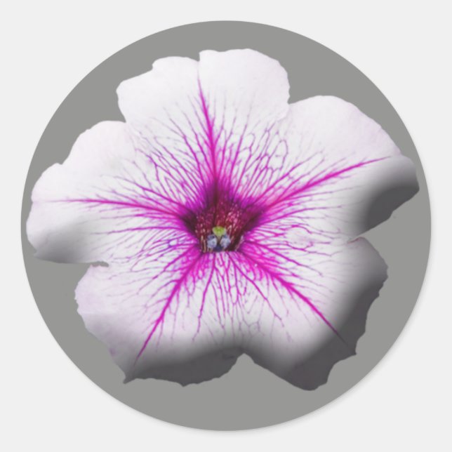 Wedding Stickers Petunia Floral (Front)