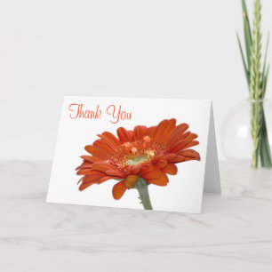 Wedding Thank You Card - Orange Daisy Gerbera