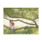 Wedding Thank You Postcard