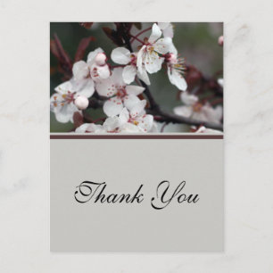 wedding thank you stickers, card, etc postcard