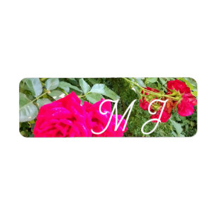 Wedding with Red Roses Photo