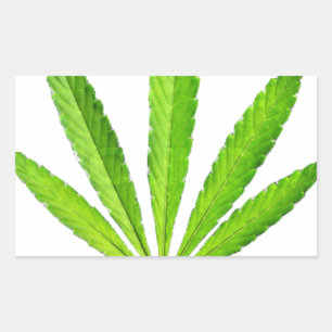 WEED LEAF STICKER