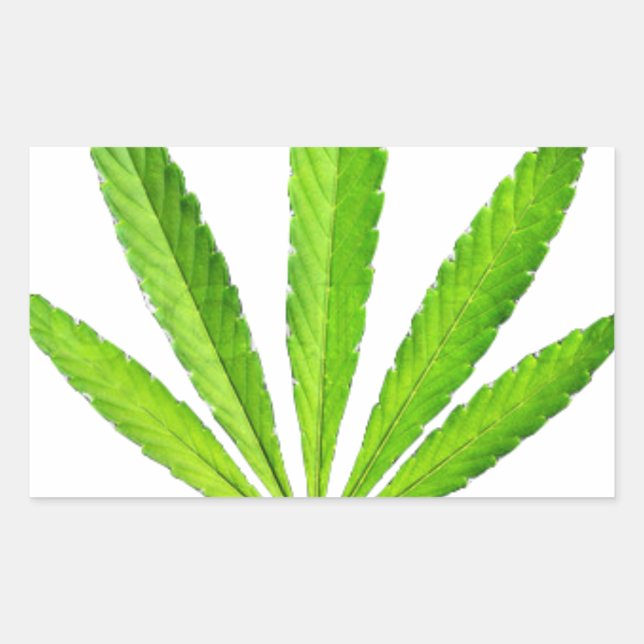 WEED LEAF STICKER (Front)