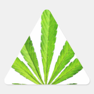 WEED LEAF TRIANGLE STICKER