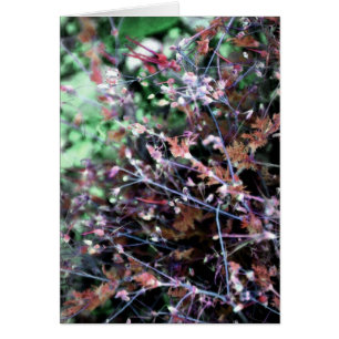 Weeds in Red and Green