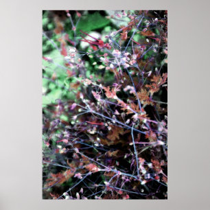 Weeds in Red and Green Poster