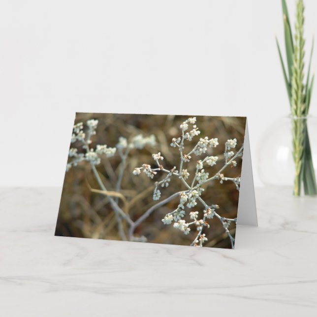 Weeds on A Fishing Trip Card (Front)