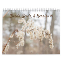 Weeds, Seeds, & Berries #1 Calendar