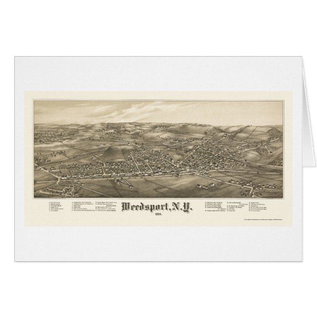 Weedsport, NY Panoramic Map - 1885 (Front Horizontal)