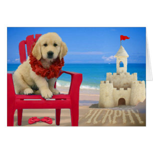 Week 8 - Beach Murphy
