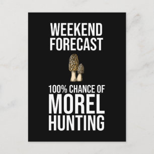 Weekend Forecast - 100% Chance of Morel Hunting Postcard