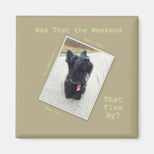 Weekend ... What Weekend? Magnet