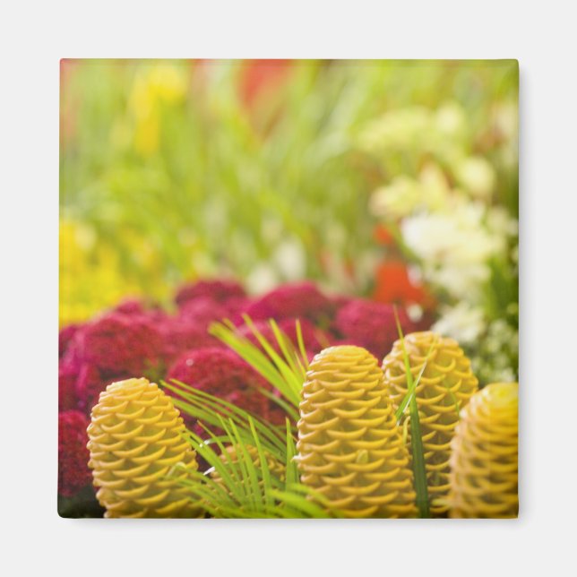 Weekly Friday fruit & vegetable market. Magnet (Front)