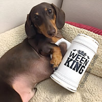 Ween King Dachshund Papa Stein Mug - Fête des père