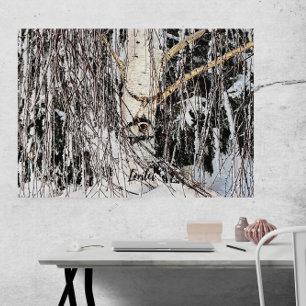 Weeping Birch Eye of Horus  Canvas Print