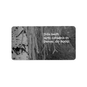 Weeping Birch in Winter Label