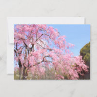 Weeping Cherry: Flat Card