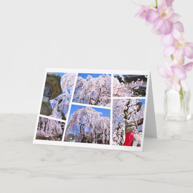 Weeping cherry tree ("Nara Ichiban-Zakura") Card (Orchid)