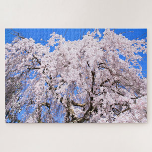 Weeping cherry tree ("Nara Ichiban-Zakura") Jigsaw Puzzle