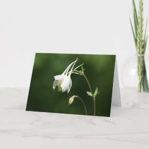 Weeping Columbine Sympathy Card