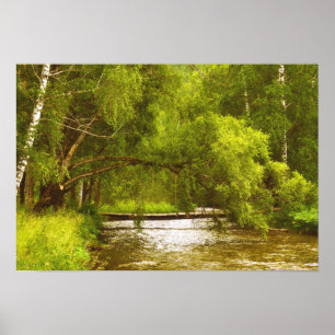 Weeping willow creek Poster