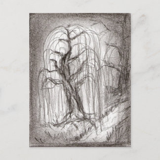 Weeping Willow Postcard
