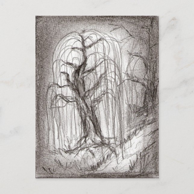 Weeping Willow Postcard (Front)