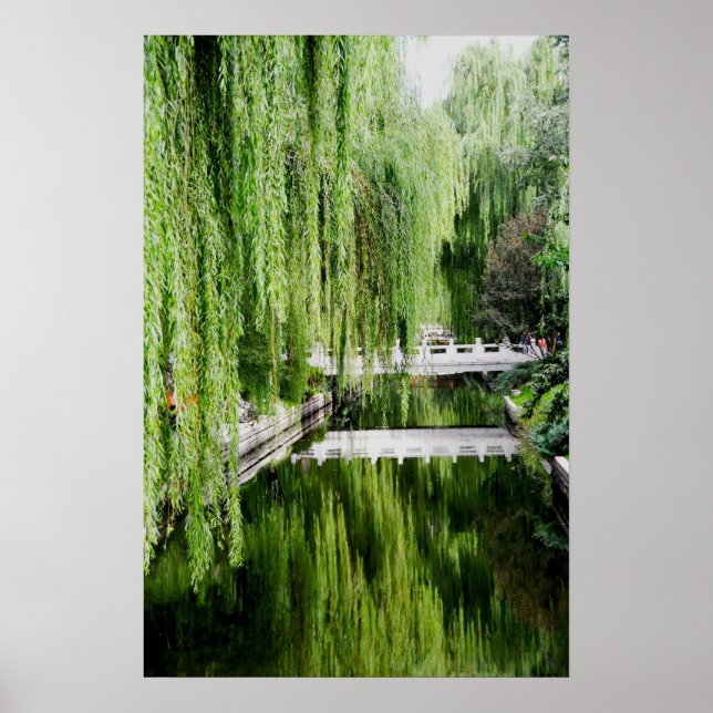 Weeping Willow Poster (Front)