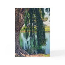 Weeping Willow Tree by Lake Greeting Card