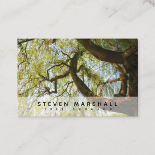 Weeping Willow Tree Surgeon UK Euro Business Card