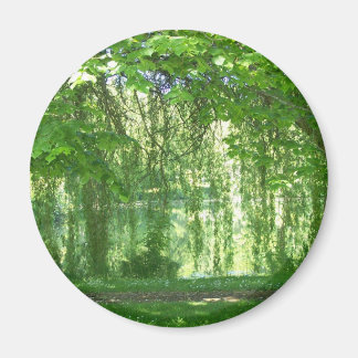 Weeping Willows with Pond Magnet