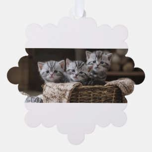 wefewfe ornament card