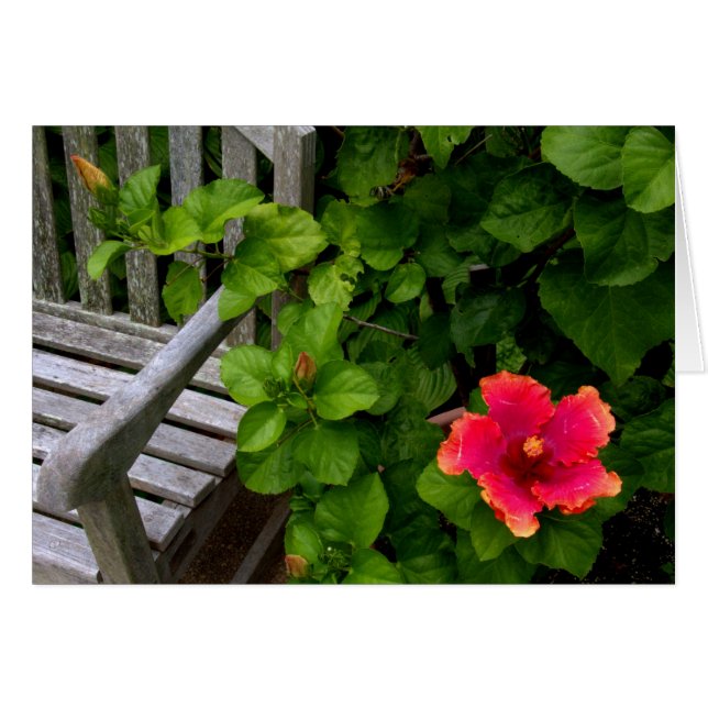 Wegerzyn Garden Center #30 (Devant horizontal)