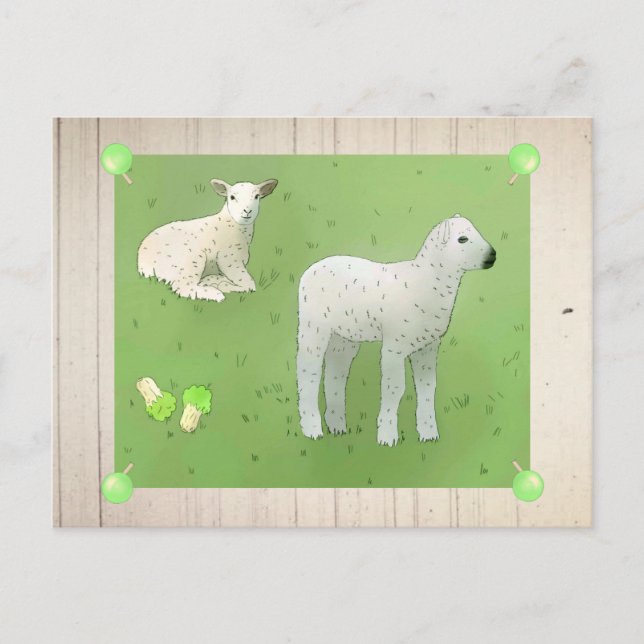 Weidelämmer Postcard (Front)