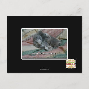 Weight of own cuteness postcard